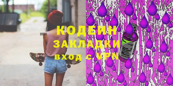 индика Вязьма